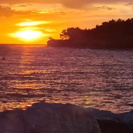 Bateau-hôtel The Sea Novigrad - Hausboot Floating Sea House *